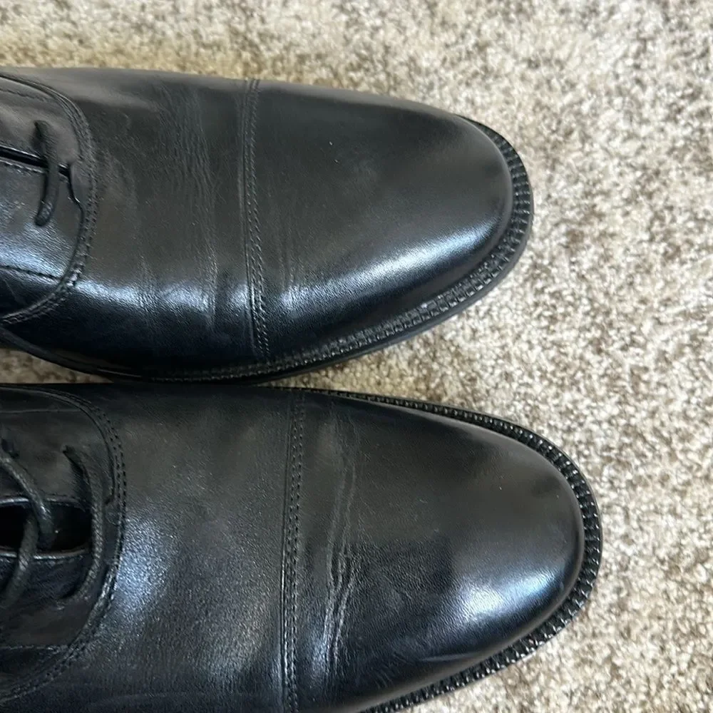 Cole Haan Modern Essentials Waterproof Cap Toe Oxfords 12